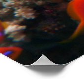 Beroemde zeemeermin poster (Hoek)