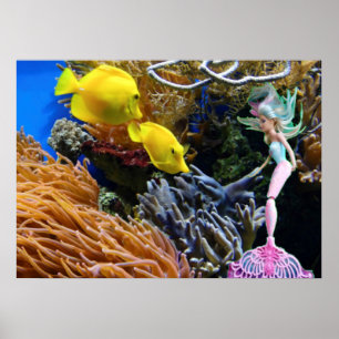 Beroemde zeemeermin poster