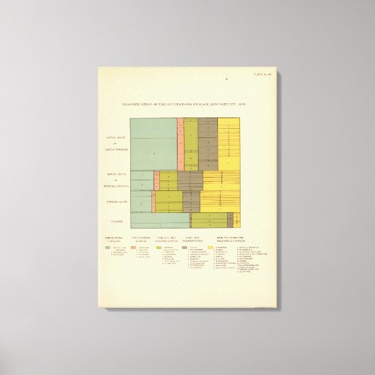 Beroepen naar ras, nationaliteit 1900 canvas afdruk (Voorkant)