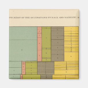 Beroepen naar ras, nationaliteit 1900 magneet