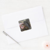 beroerte een eekhoorn vierkante sticker (Envelop)