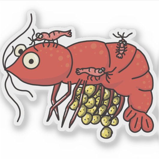 Berried Red Cherry Shrimp Sticker (Voorkant)