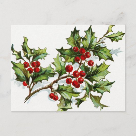 Berries001 Briefkaart (Voorkant)