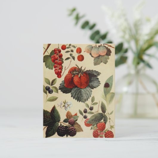 BERRIES BERRIES BRIEFKAART (Staand voorkant)