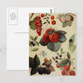 BERRIES BERRIES BRIEFKAART (Voorkant / Achterkant)