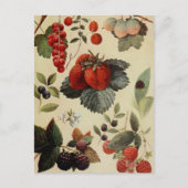 BERRIES BERRIES BRIEFKAART (Voorkant)