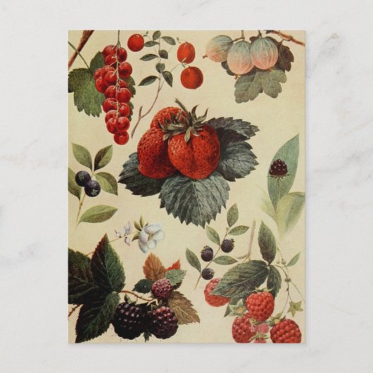 BERRIES BERRIES BRIEFKAART (Voorkant)