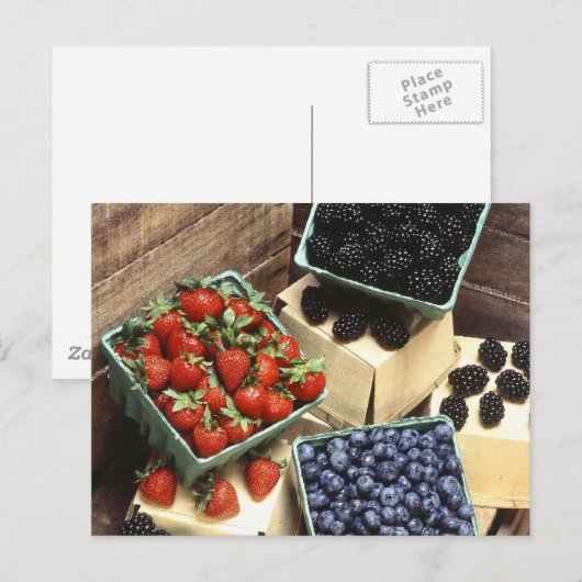 Berries Briefkaart (Voorkant / Achterkant)