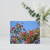 Berries Briefkaart (Staand voorkant)