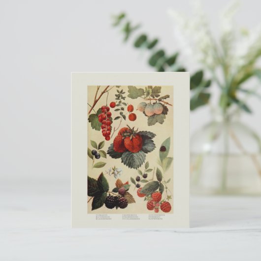 Berries Briefkaart (Staand voorkant)