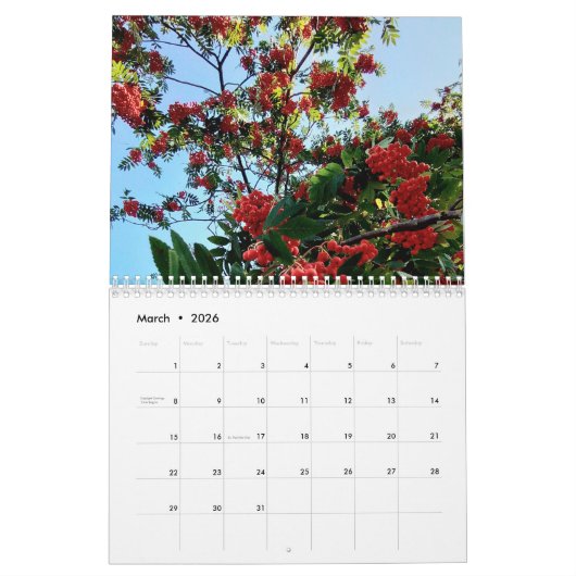 Berries Kalender (Mar 2026)