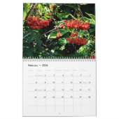 Berries Kalender (Feb 2026)