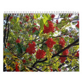 Berries Kalender (Hoes)