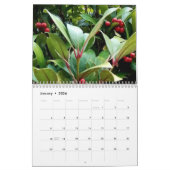 Berries Kalender (Jan 2026)