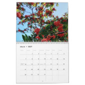Berries Kalender (Mar 2027)