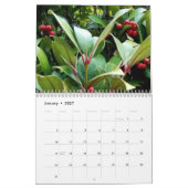 Berries Kalender (Jan 2027)