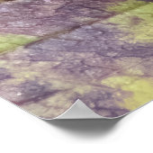 Berries on a Branch Poster (Hoek)