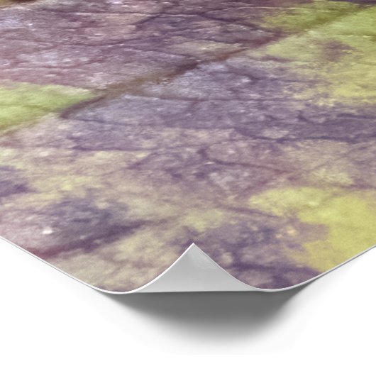 Berries on a Branch Poster (Hoek)