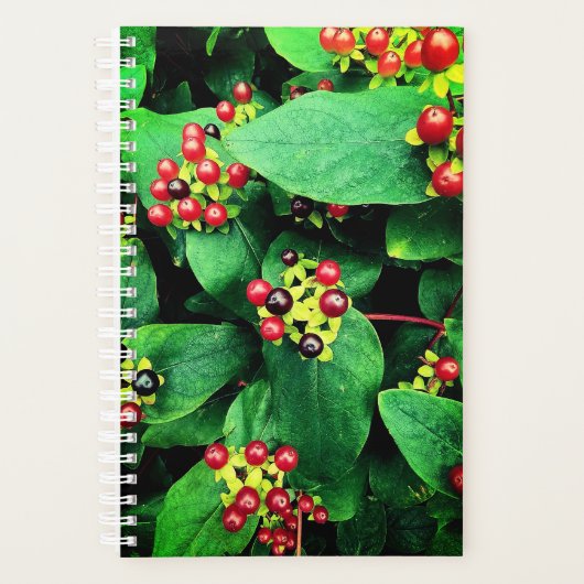 Berries Planner (Voorkant)