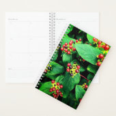 Berries Planner (Display)