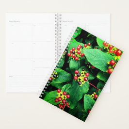 Berries Planner