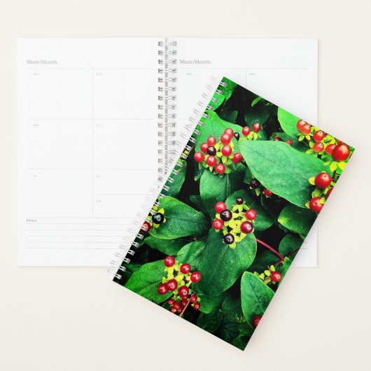 Berries Planner (Display)