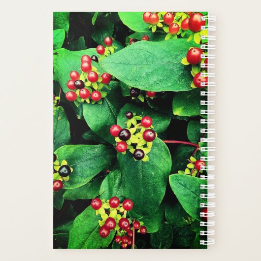 Berries Planner (Achterkant)