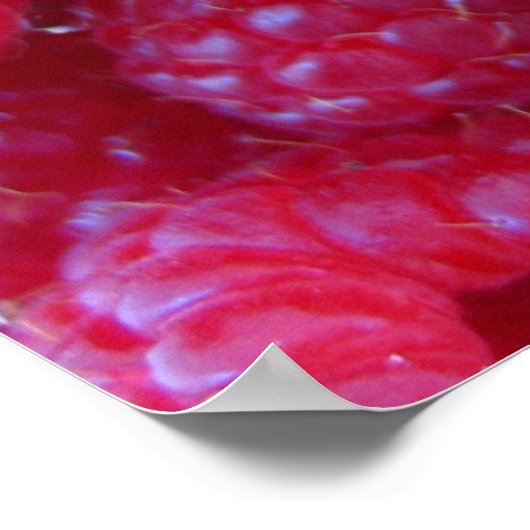 Berries Poster (Hoek)