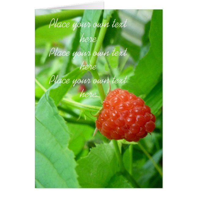 Berry Berry Raspberry Card (Voorkant)
