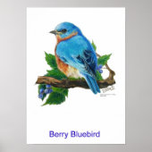 Berry Bluebird Poster (Voorkant)