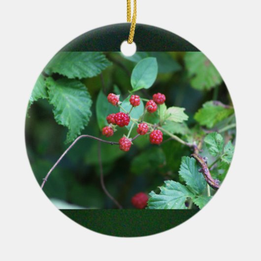 Berry Branches Ornament (Voorkant)