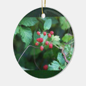 Berry Branches Ornament (Links)