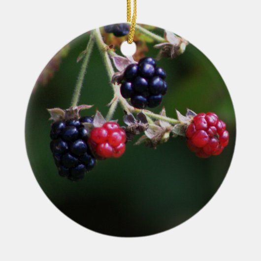 Berry Branches Ornament (Voorkant)