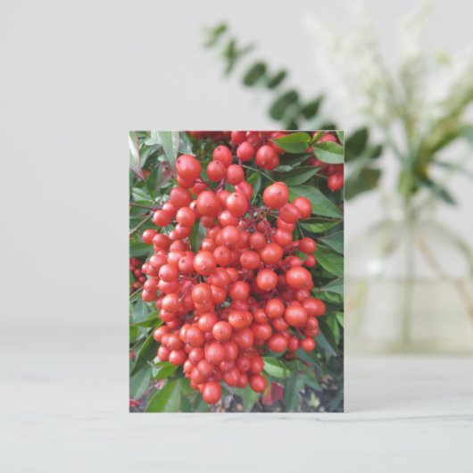 Berry Bundle Briefkaart (Staand voorkant)
