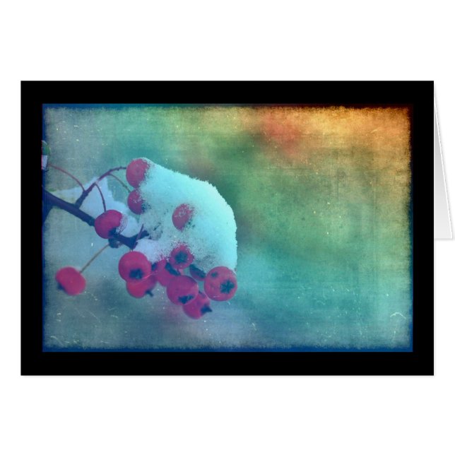 Berry Cold (Voorkant Horizontaal)