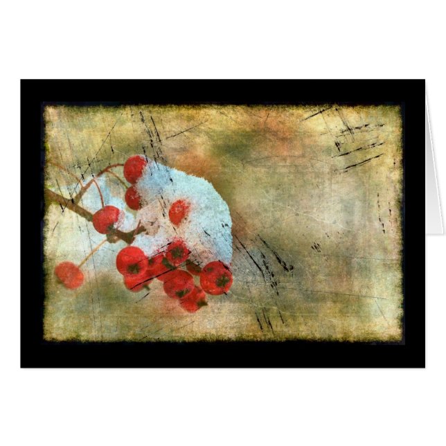 Berry Cold Grunge (Voorkant Horizontaal)