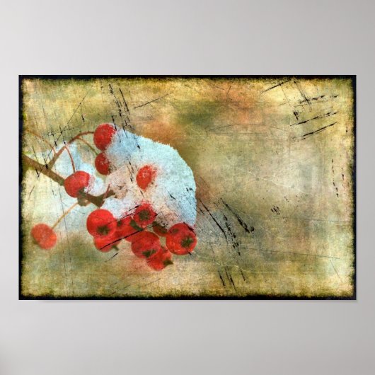 Berry Cold Grunge Poster (Voorkant)