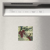 Berry Magnet (Insitu (Vaatwasser))