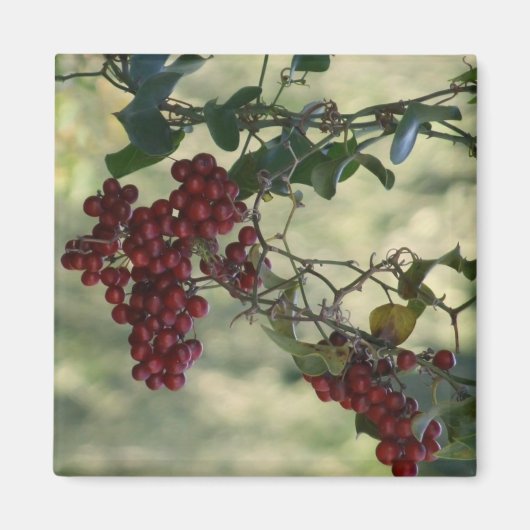 Berry Magnet (Voorkant)