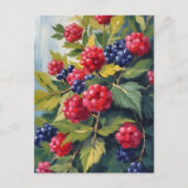 Berry Struik Raspberry Blackberry Waterverf Fruit Briefkaart (Voorkant)