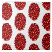 Berry Tegeltje (Voorkant)