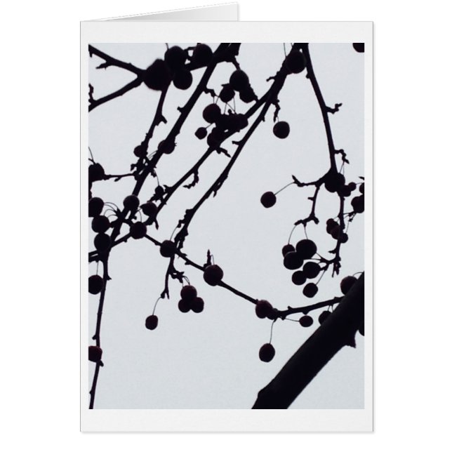 Berry Tree against Sky (Voorkant)