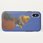 Berta the robin Tough iPhone X Hoesje (Achterkant (horizontaal))