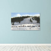 Berthoud Pass, Colorado Canvas Afdruk (Insitu (Houten vloer))