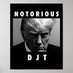 Beruchte DJT Donald Trump-Mok heeft Republikein 20 Poster