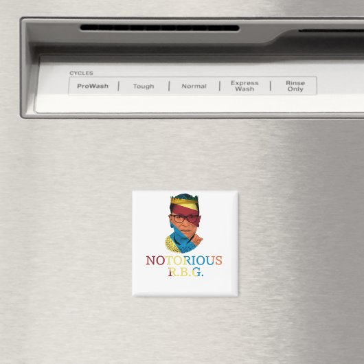  beruchte RBG Magneet (Insitu (Vaatwasser))