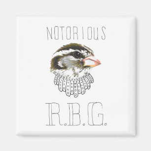 beruchte RBG (met Roos geroosterde Grosbeak) Magneet