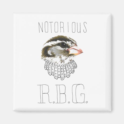 beruchte RBG (met Roos geroosterde Grosbeak) Magneet (Voorkant)