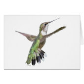 Berylline Hummingbird Painting (Voorkant Horizontaal)