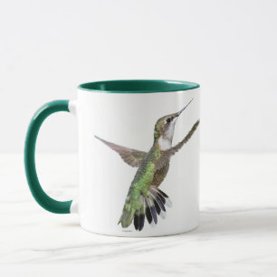 Berylline Hummingbird Painting Mok